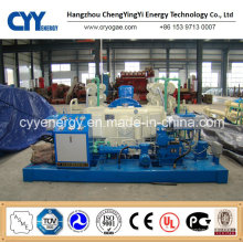 CNG33 Skid-Mounted Lcng CNG LNG Combination Station Enchimento